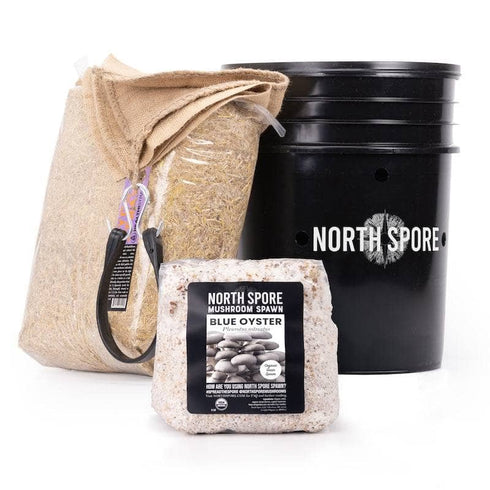 'MushBucket' Mushroom Bucket Grow Kit